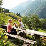 Hochalmbahnen 16w2, Bergminze, Nahe Gondel Daire Rauris