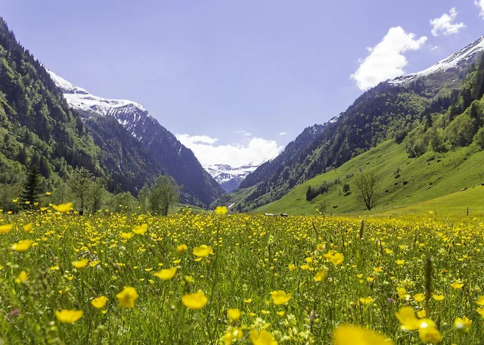 شقة Hochalmbahnen Chalets 16W2, Bergminze, Nahe Gondel راوريس