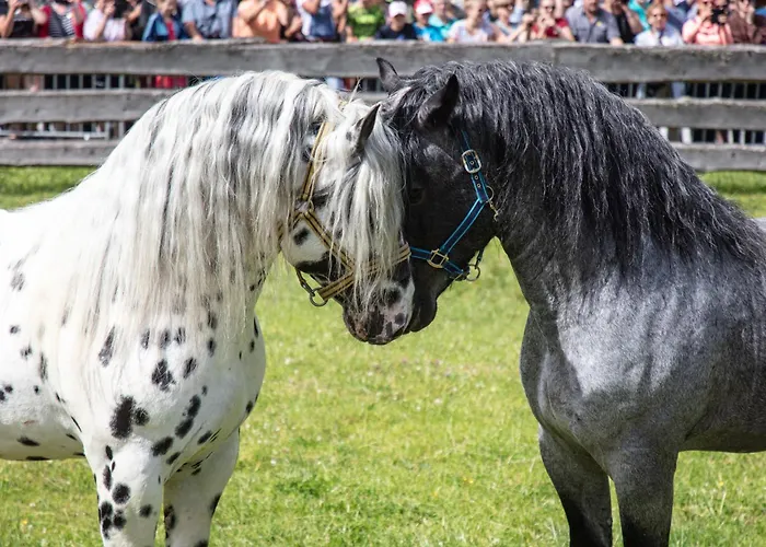 Hochalmbahnen Chalets 16W2, Bergminze, Nahe Gondel راوريس